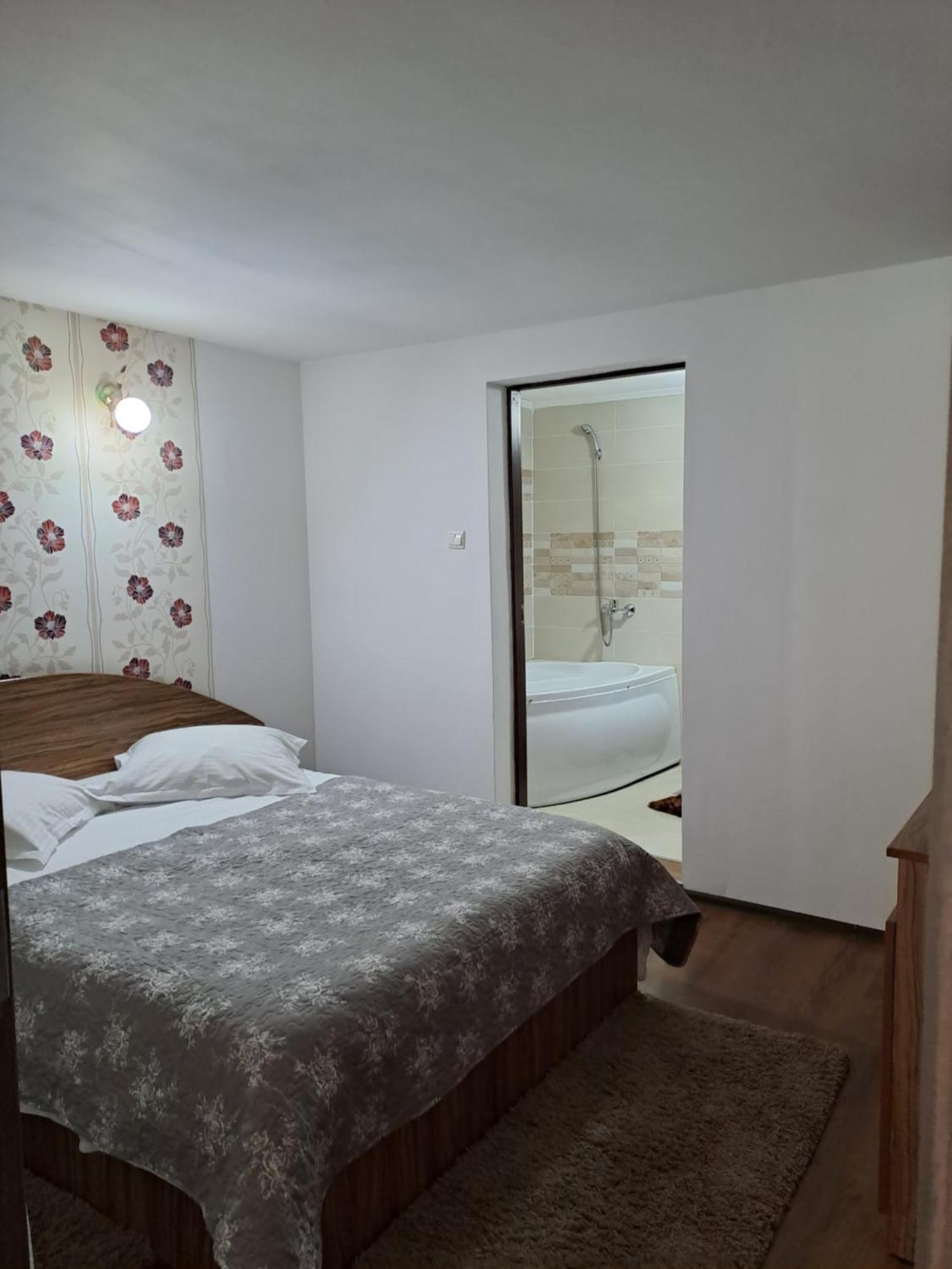 Casa Raul Villa Rucar  Luaran gambar