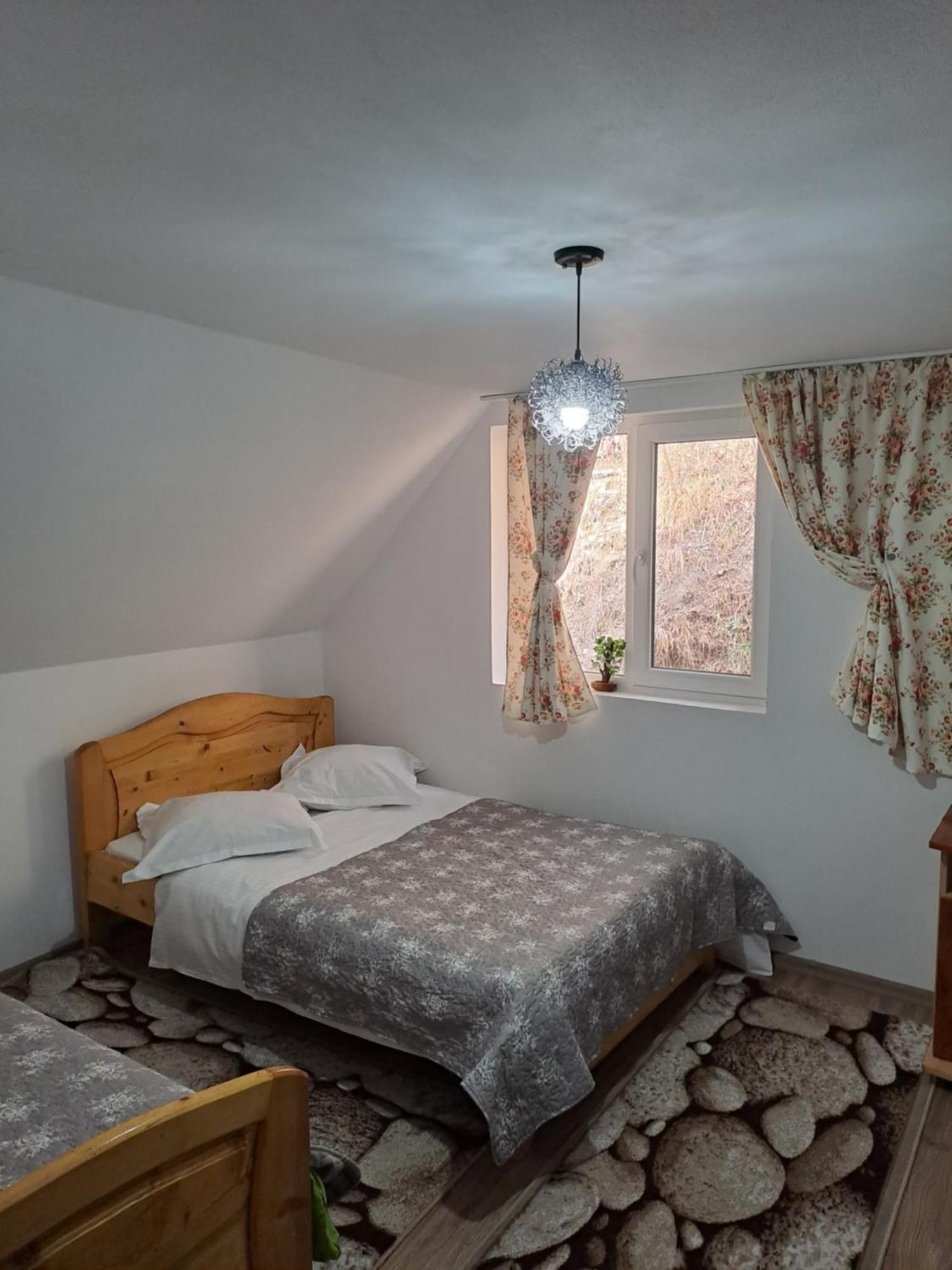 Casa Raul Villa Rucar  Luaran gambar