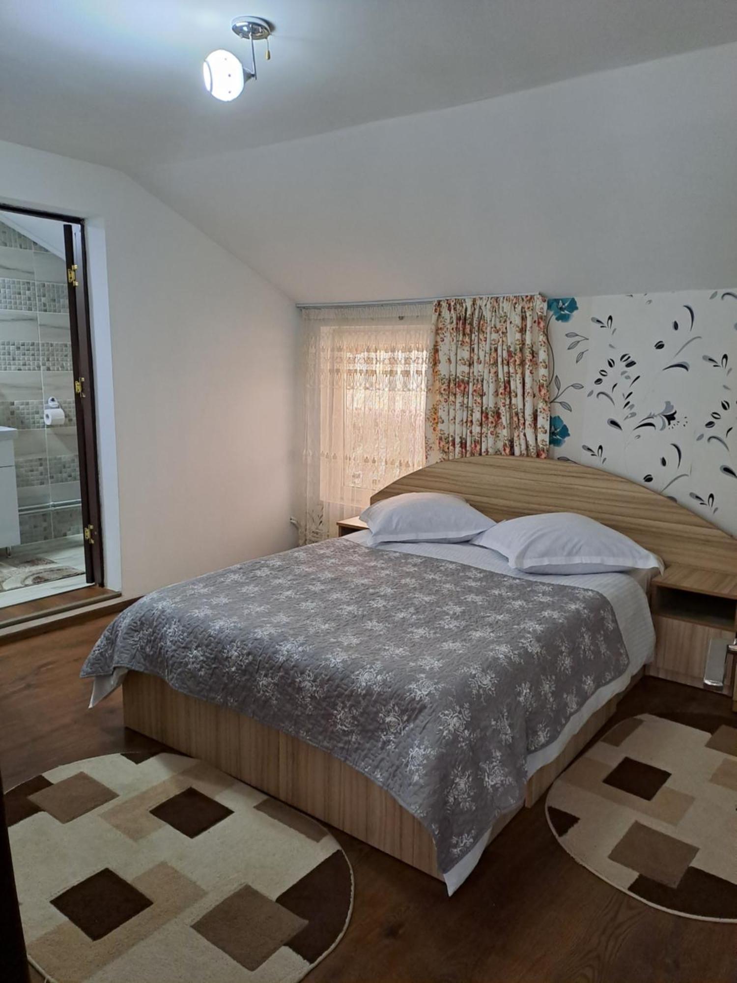 Casa Raul Villa Rucar  Luaran gambar