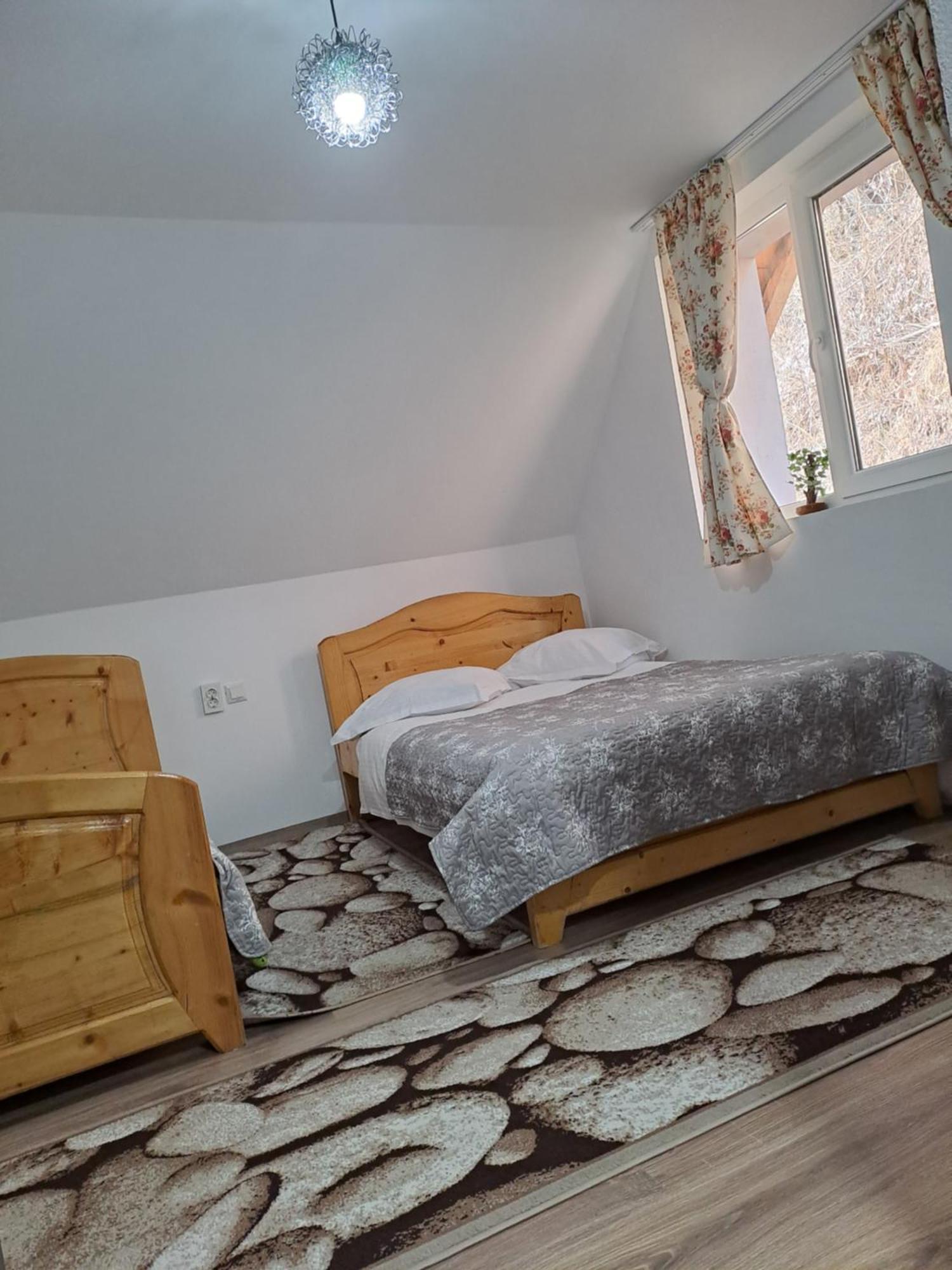 Casa Raul Villa Rucar  Luaran gambar